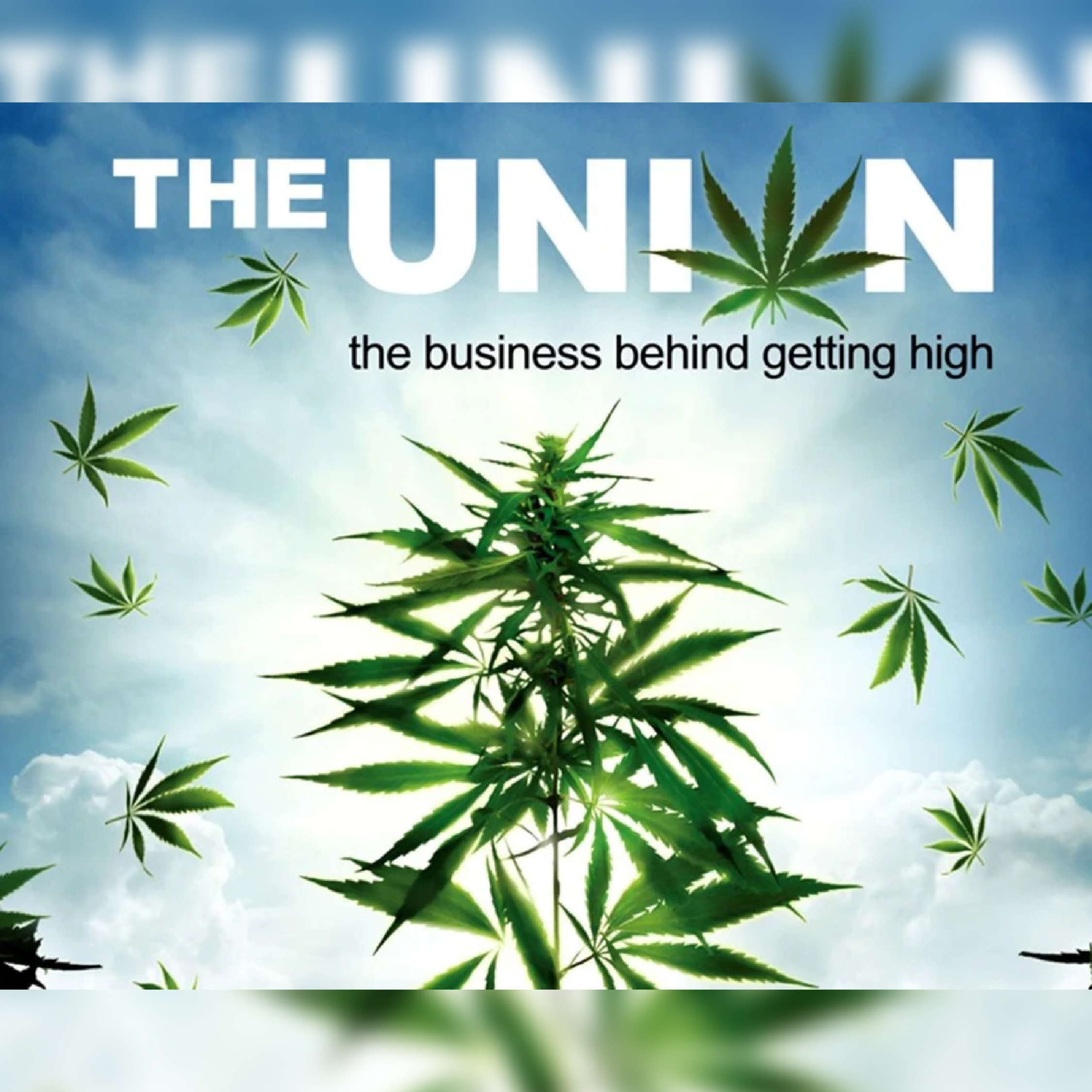 THE UNION: THE BUSINESS BEHIND GETTING HIGH - LA UNIÓN: EL NEGOCIO DETRÁS DE COLOCARSE