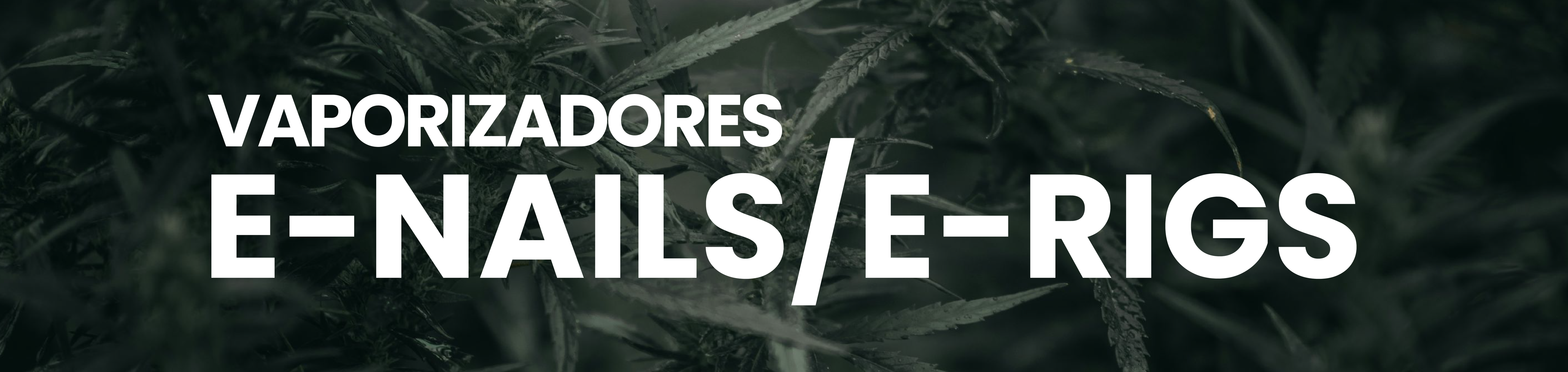 E-Nails / E-Rigs