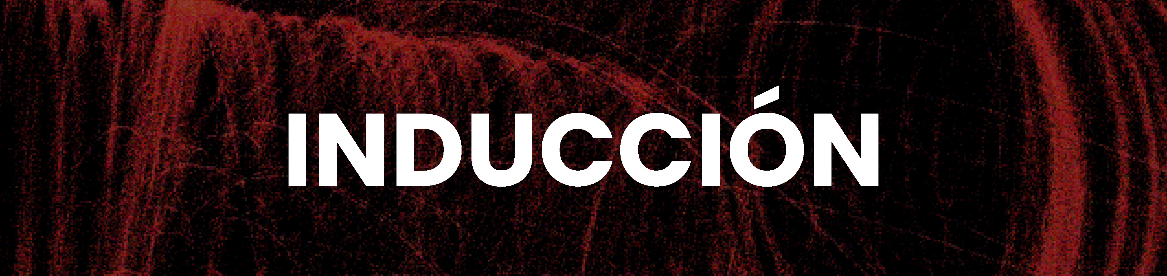 Inducción