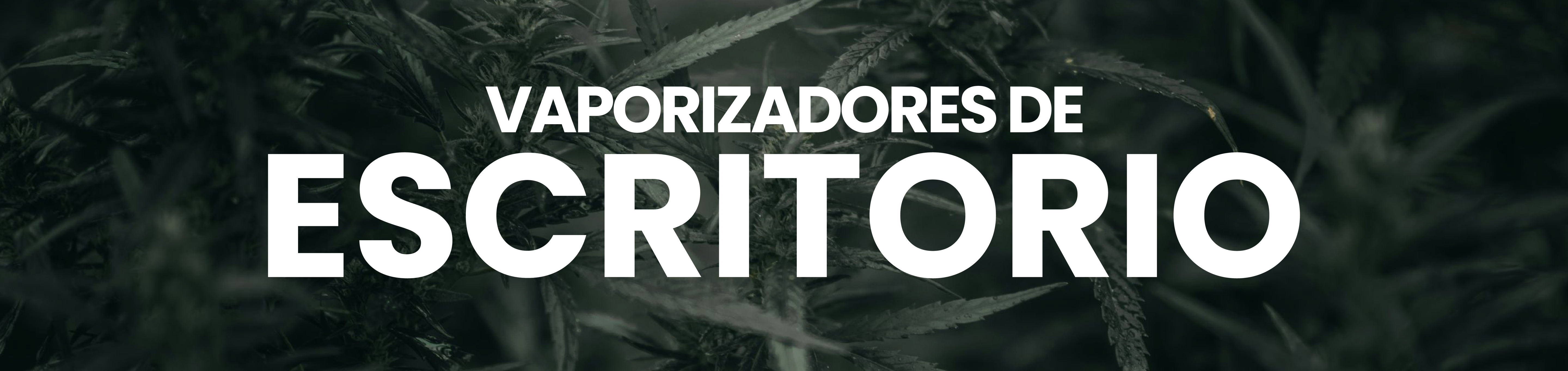 Escritorio