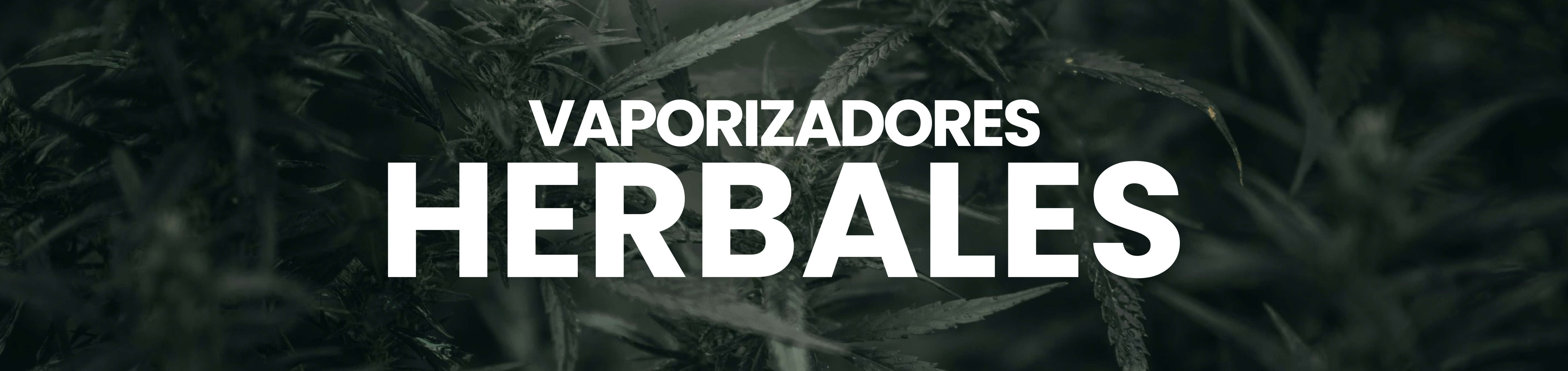 Vaporizadores Herbales