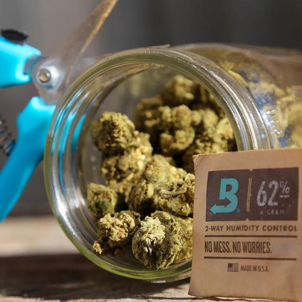 Boveda 4 gramos 62% RH - Control de Humedad