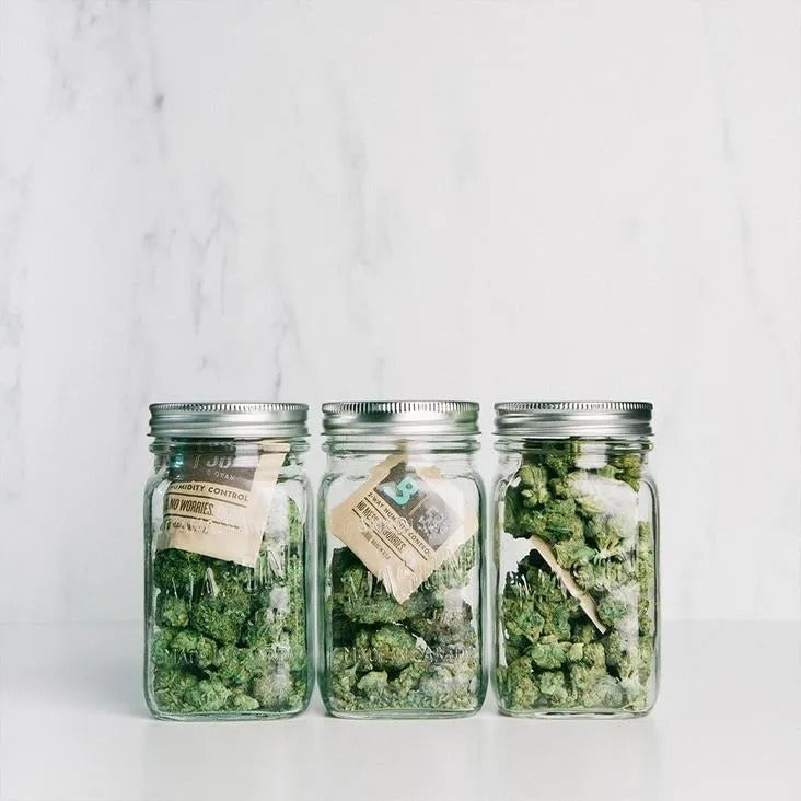 Boveda Control De Humedad 62% Rh Sobre 4 Gramos (10 unidades)