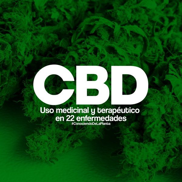 CBD: Uso medicinal y terapéutico en 22 enfermedades
