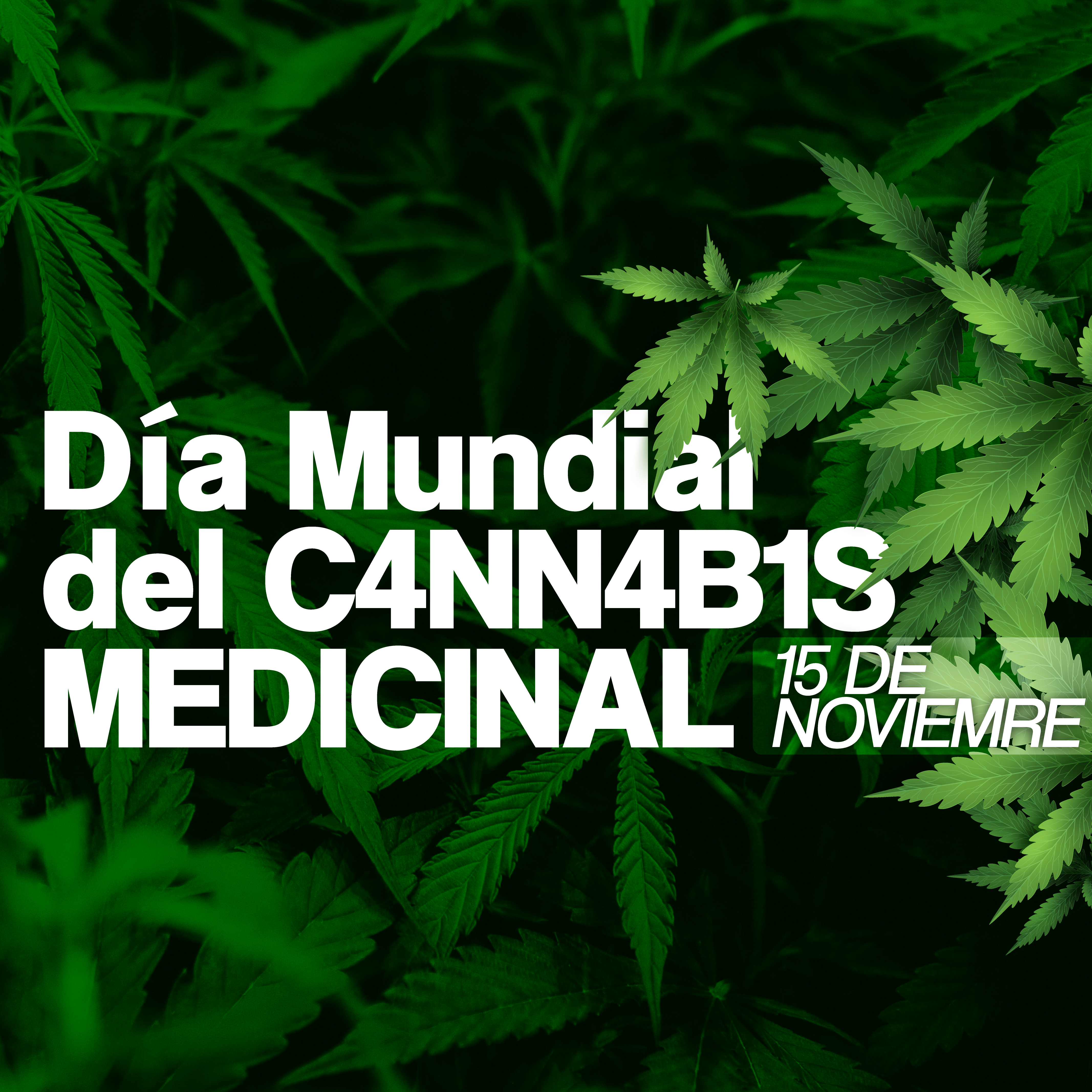 15 DE NOVIEMBRE: Día Mundial de la Marihuana Medicinal