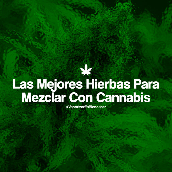 Las mejores hierbas para mezclar con cannabis