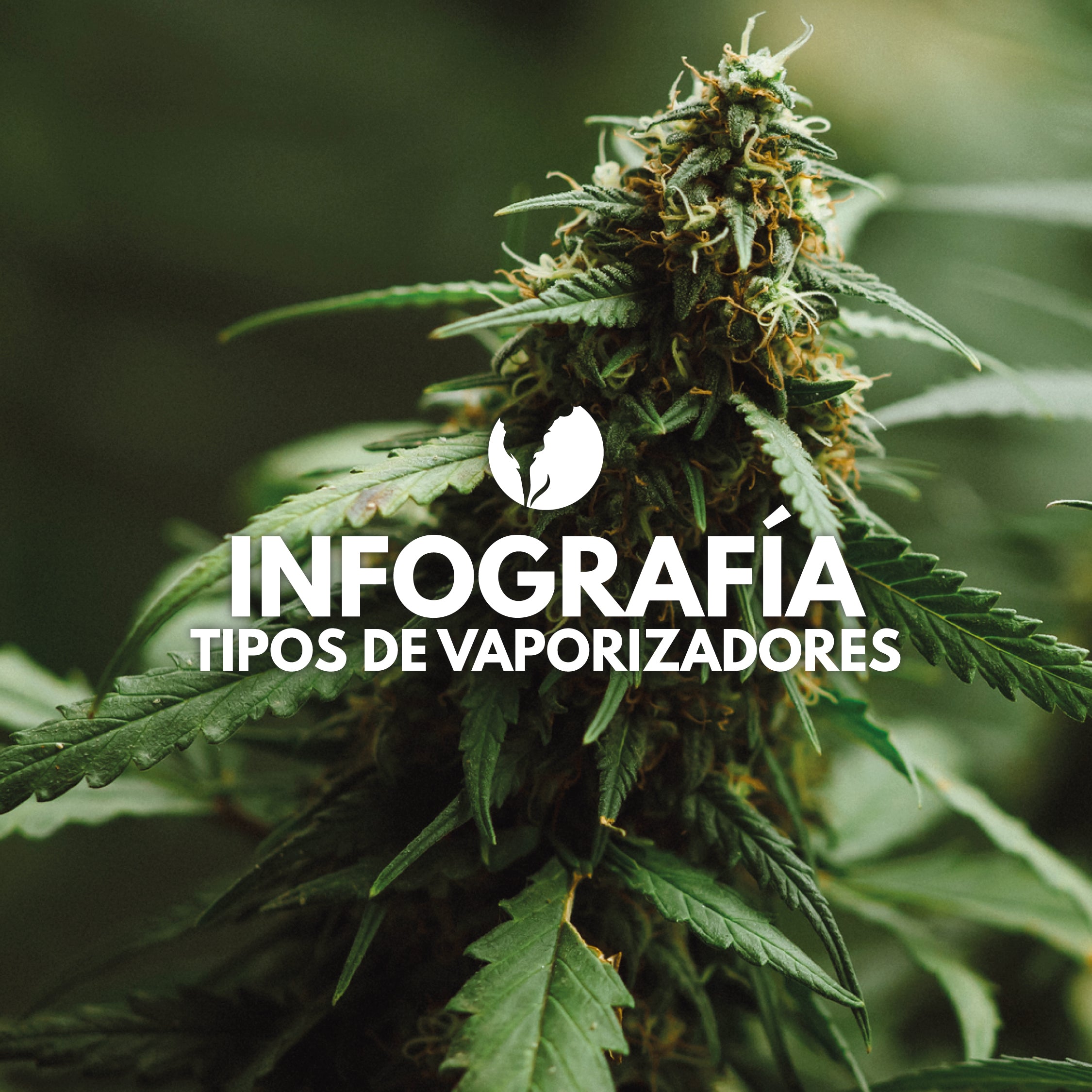 Tipos de vaporizadores - Infografía