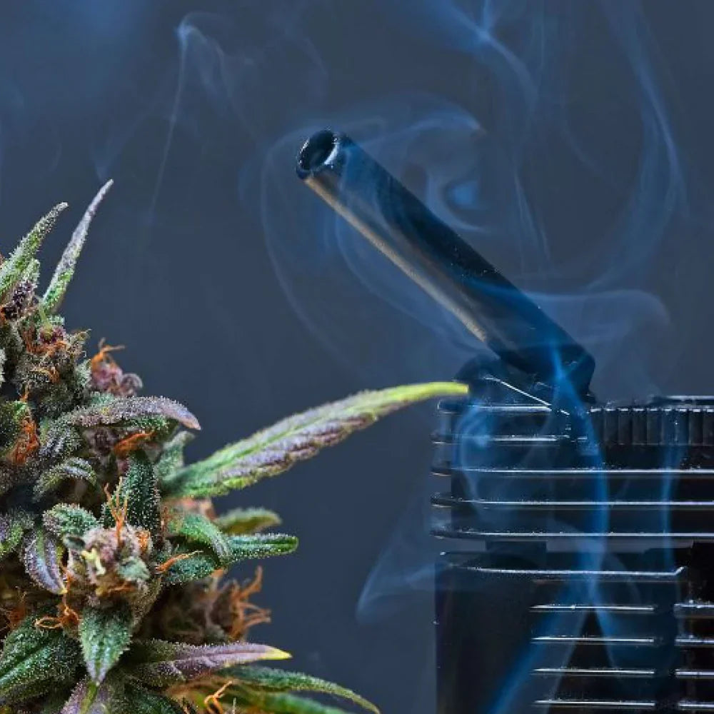 Eficiencia en la absorción: ¿Por qué el vapor "pega" más rápido?