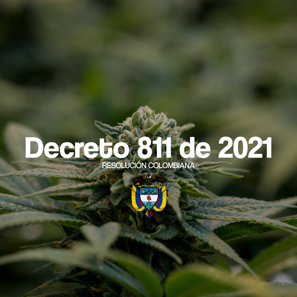 Decreto 811 de 2021