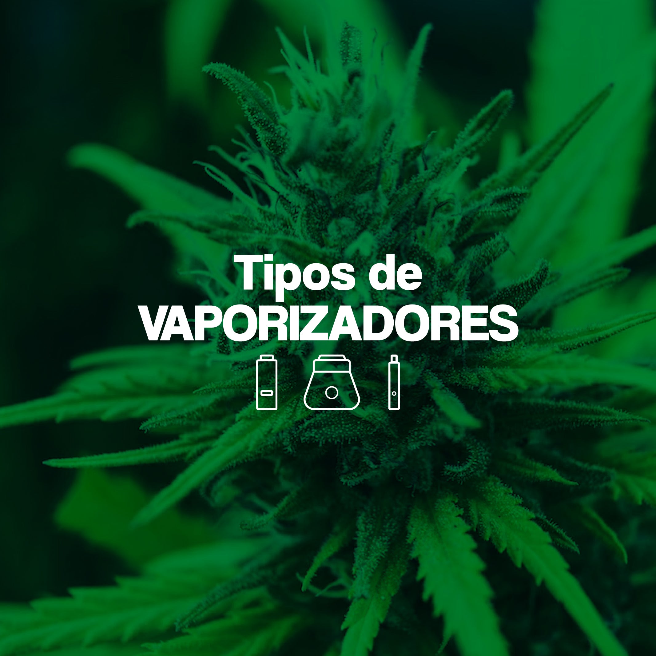 Tipos de Vaporizadores