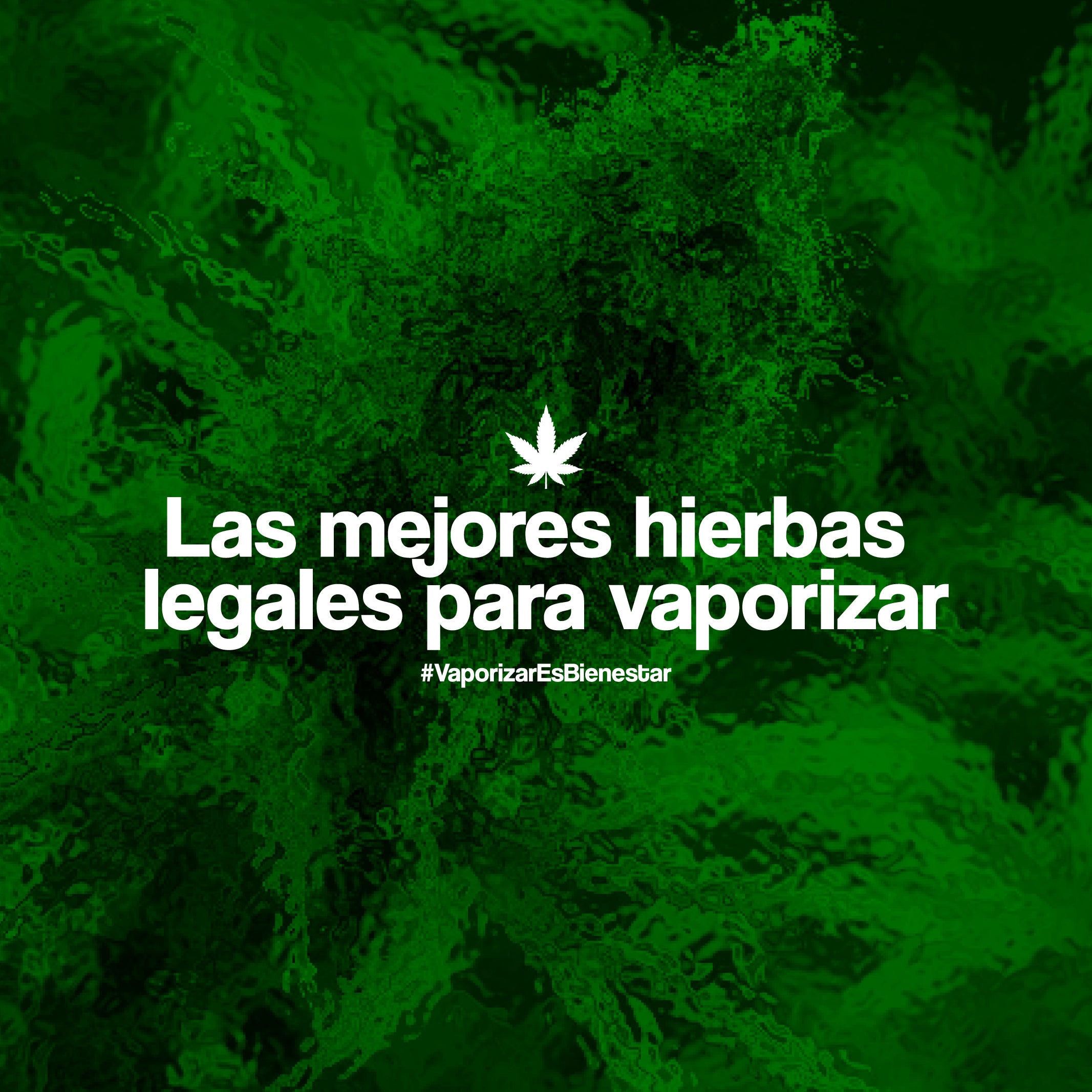 Las mejores hierbas legales para vaporizar