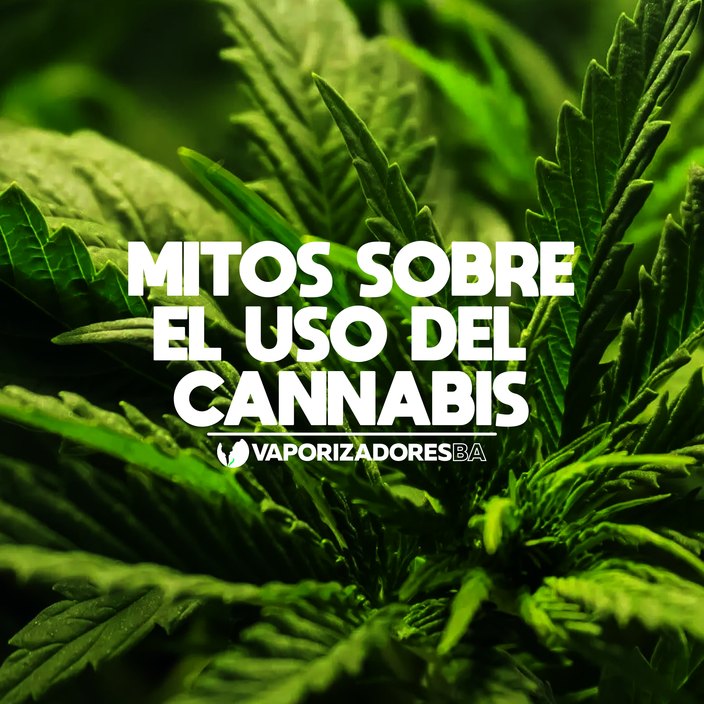 Mitos sobre el uso del cannabis