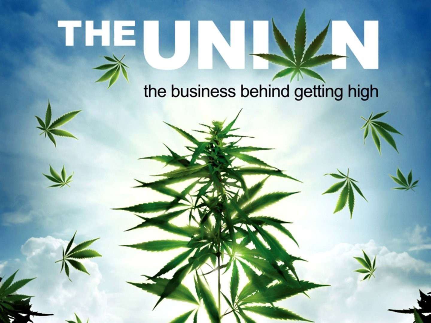 THE UNION: THE BUSINESS BEHIND GETTING HIGH - LA UNIÓN: EL NEGOCIO DETRÁS DE COLOCARSE