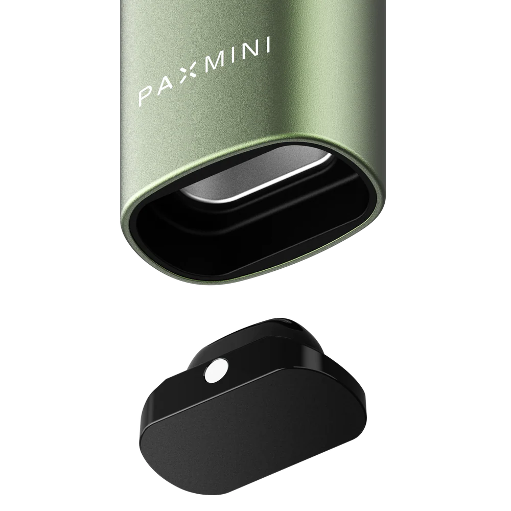 Vaporizador Pax Mini 2025