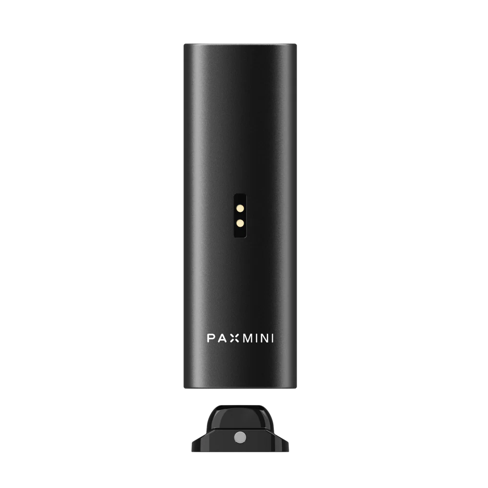 Vaporizador Pax Mini 2025