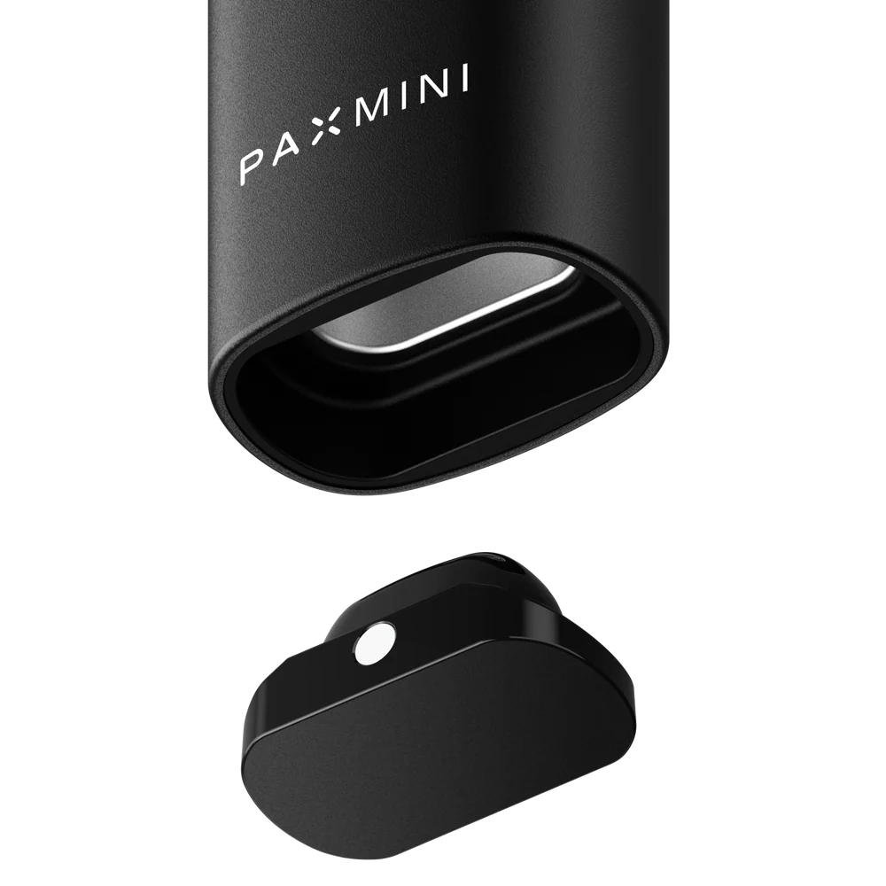 Vaporizador Pax Mini 2025